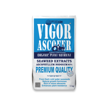 VIGOR ASCOFER VIGOR ASCOFER